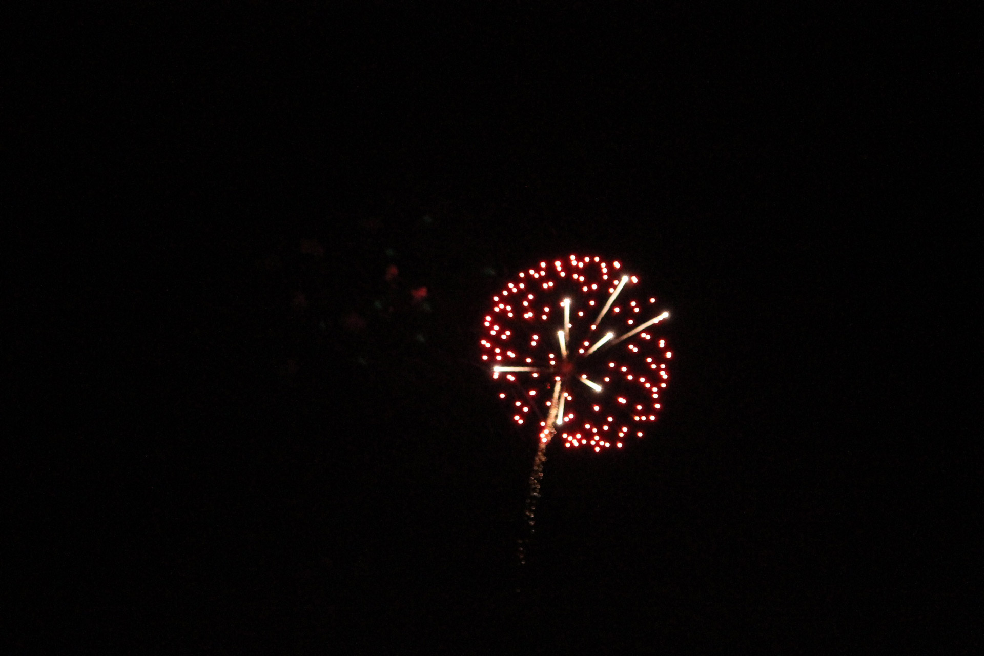 independence day fireworks 4th of july free photo