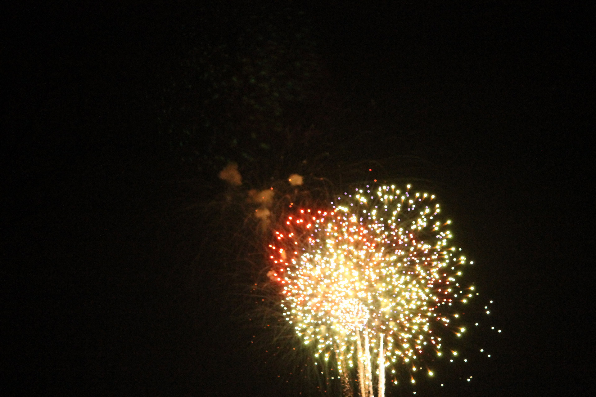 independence day fireworks 4th of july free photo