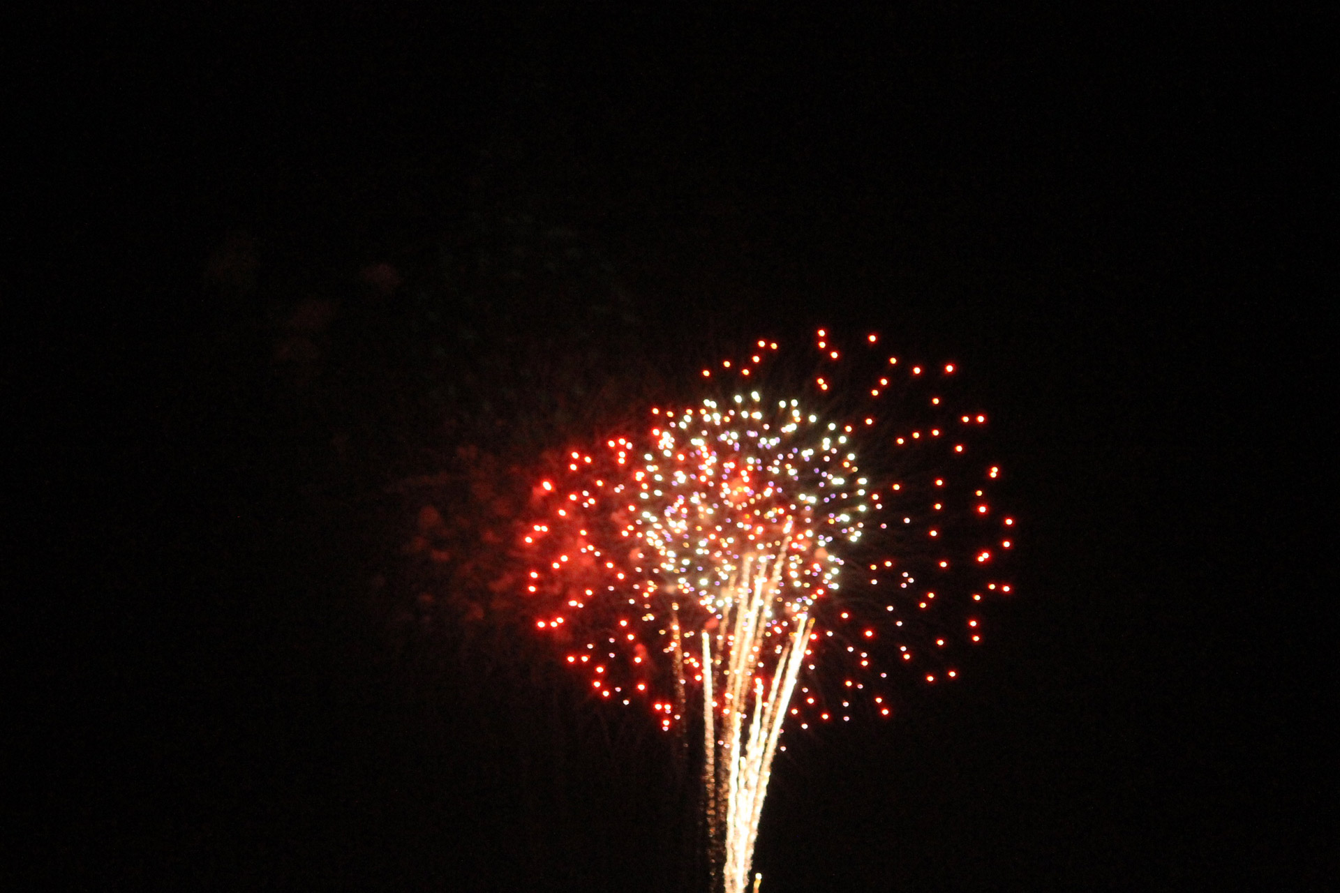 independence day fireworks 4th of july free photo