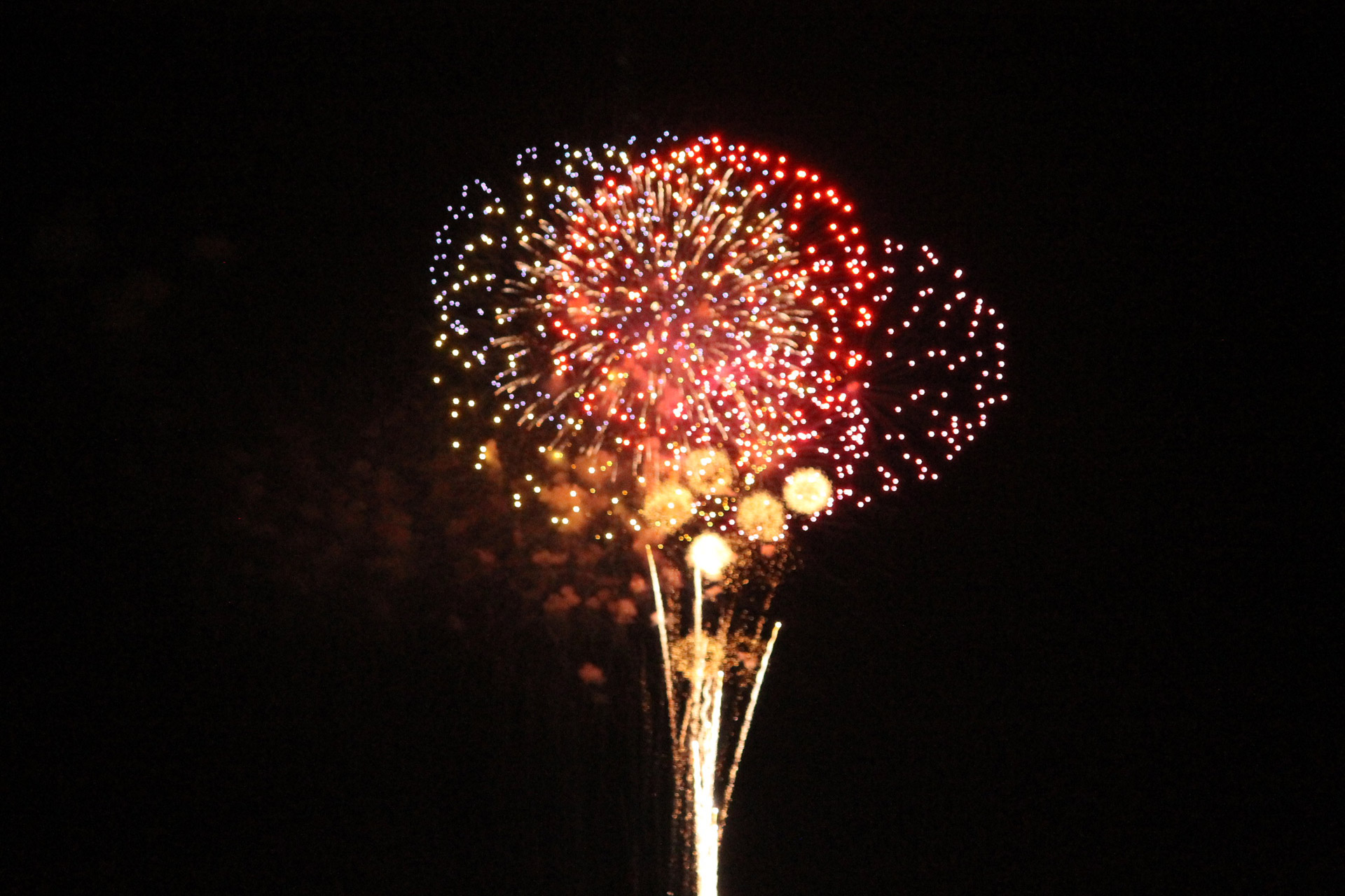 independence day fireworks 4th of july free photo