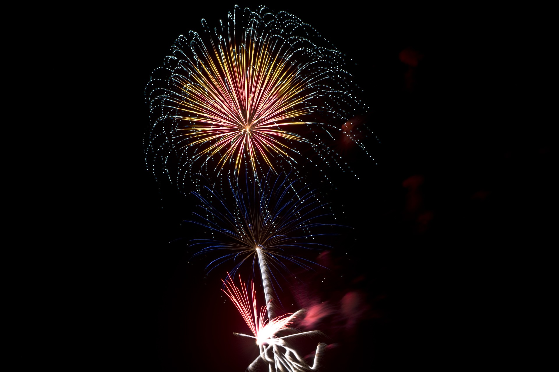fireworks independence light free photo
