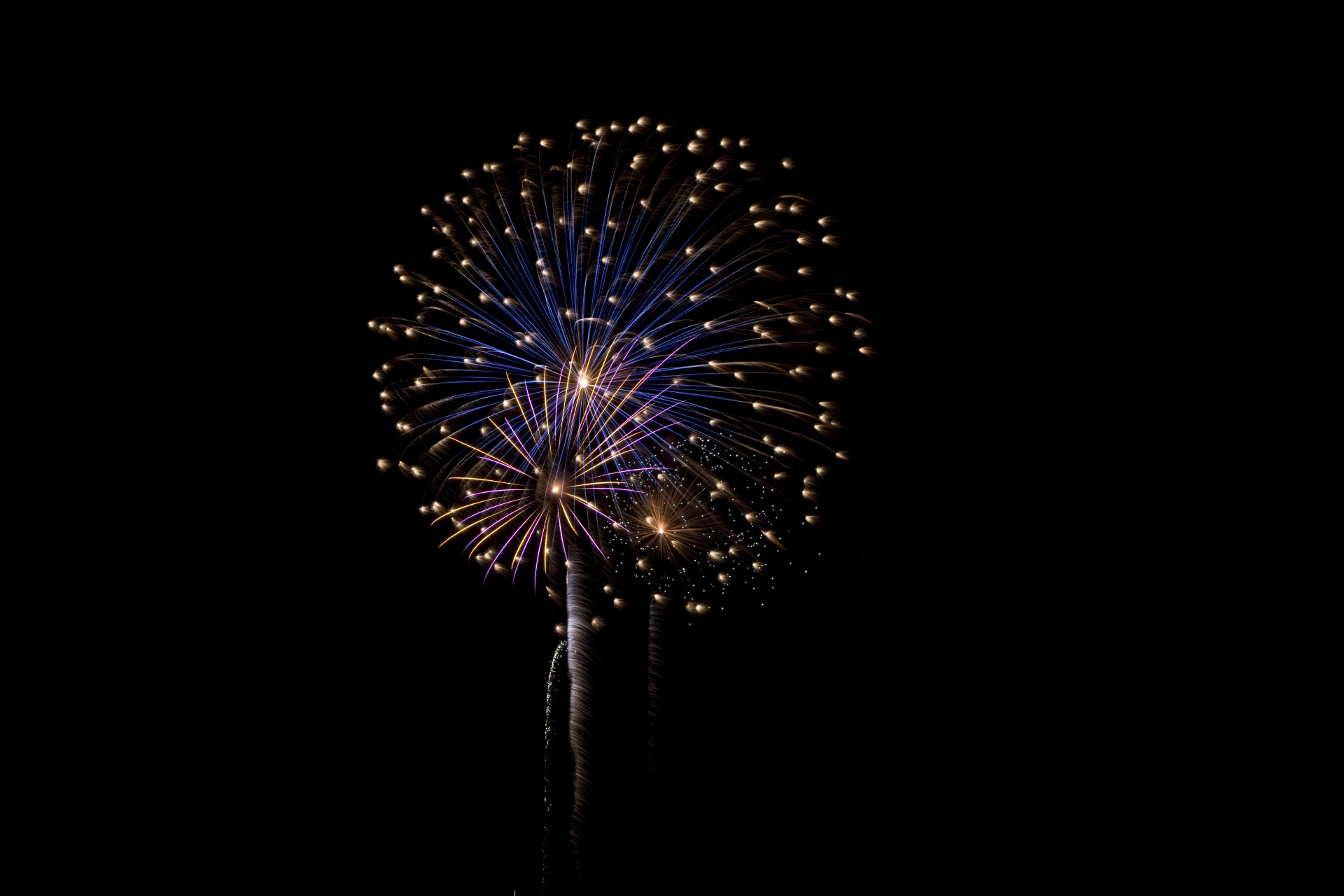 fireworks independence light free photo