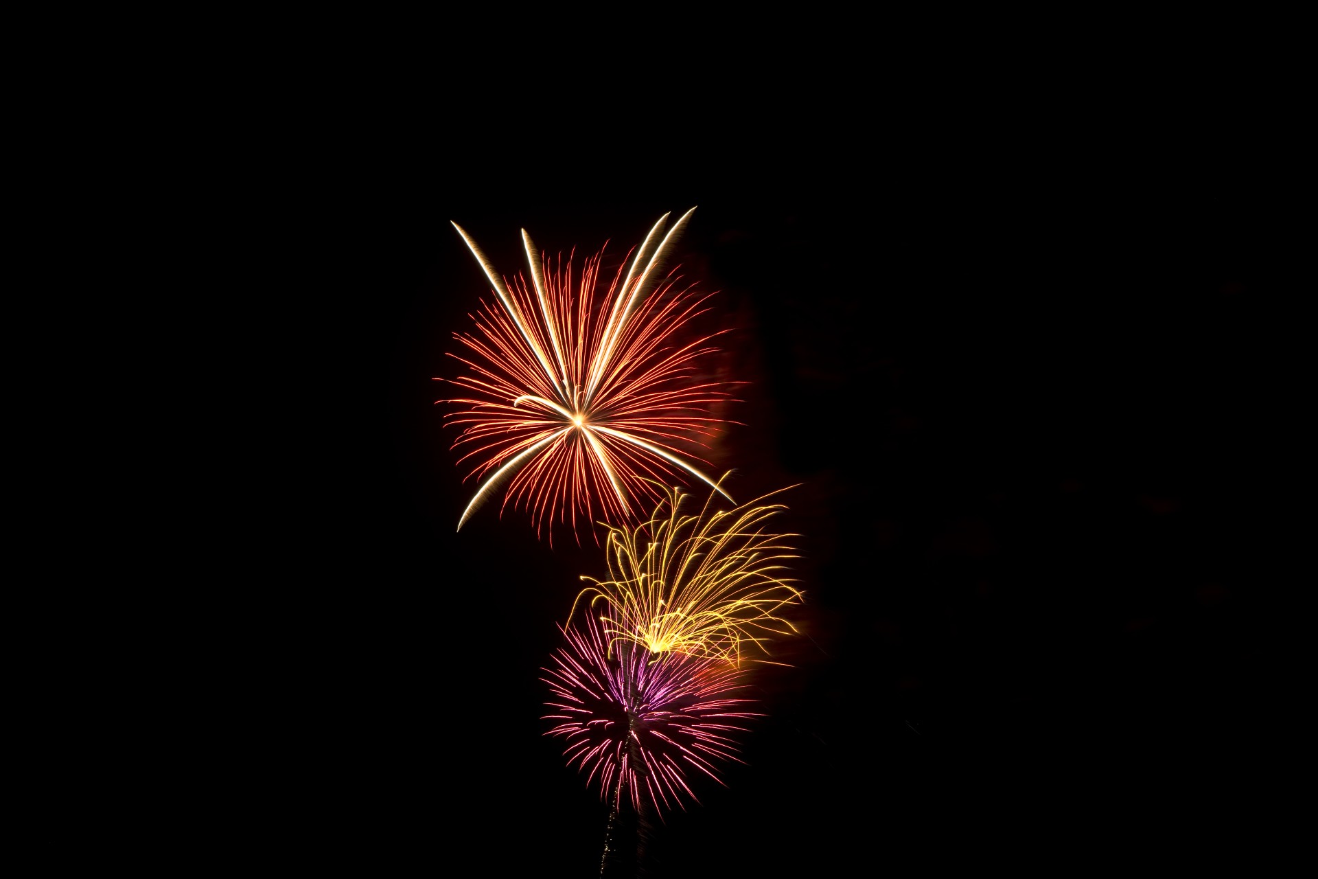 fireworks independence light free photo