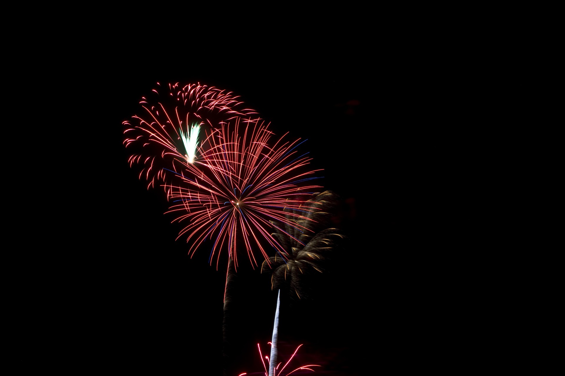 fireworks independence light free photo