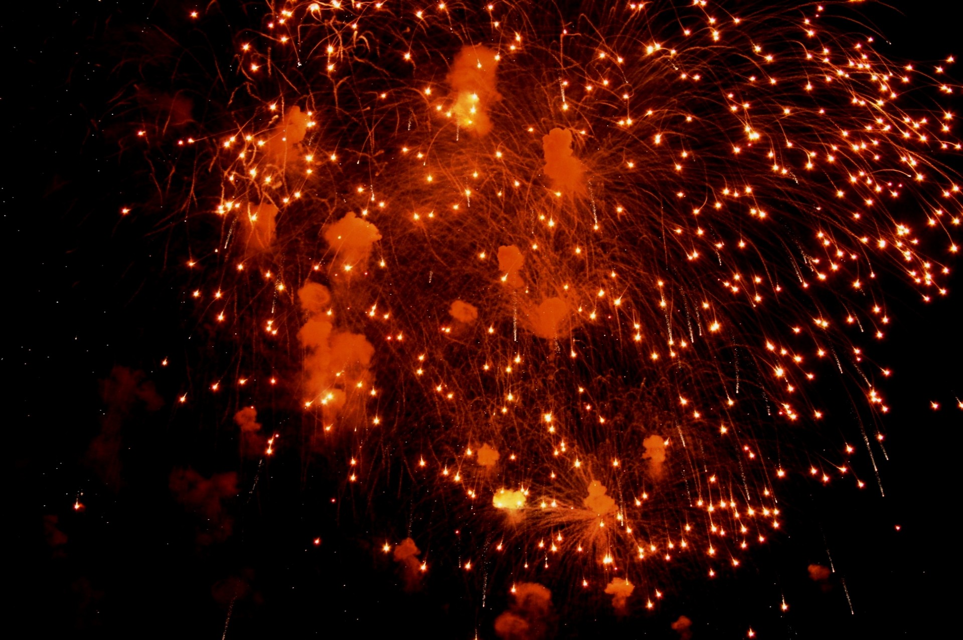 fireworks burst light flecks free photo