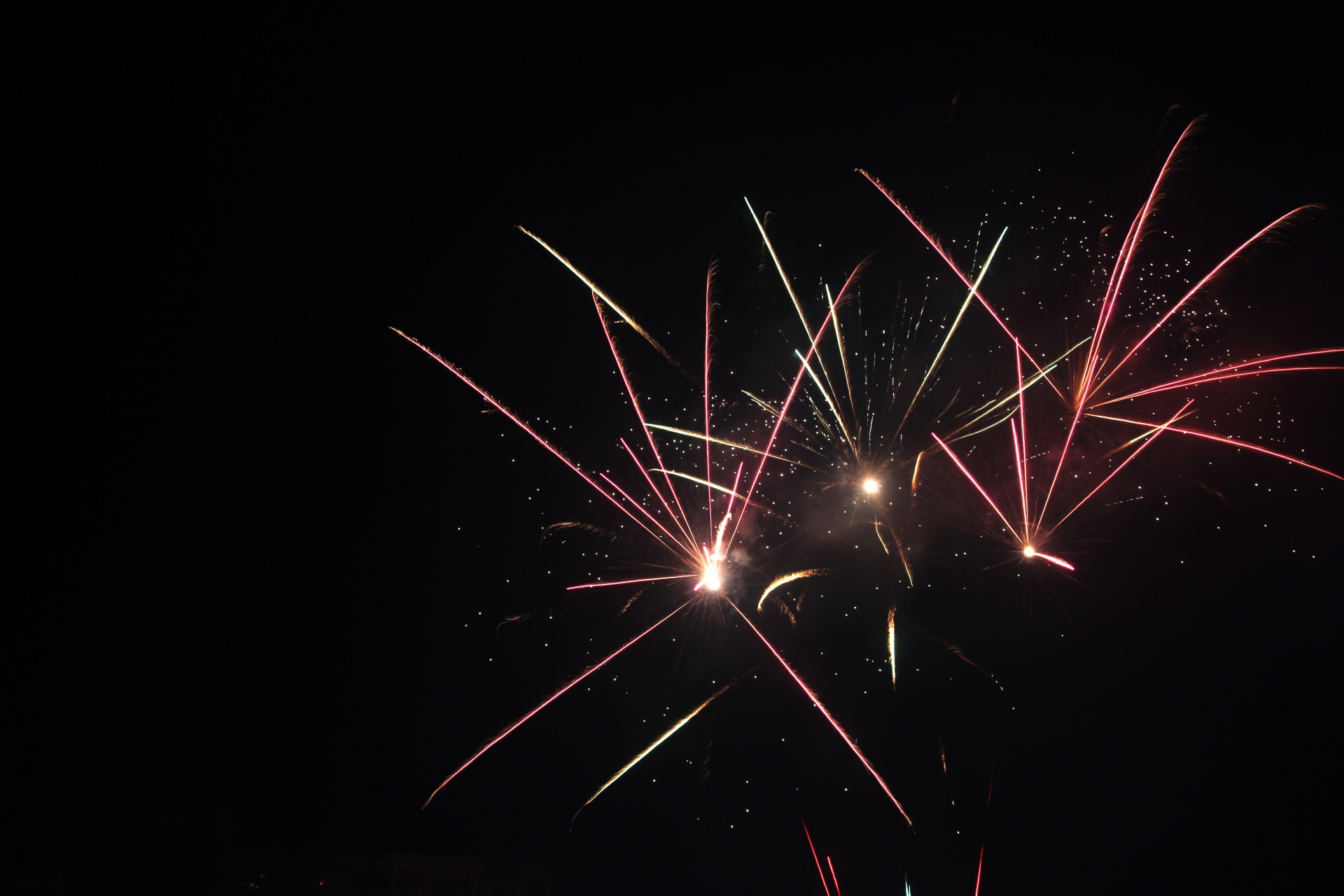 firework sparks colorful free photo