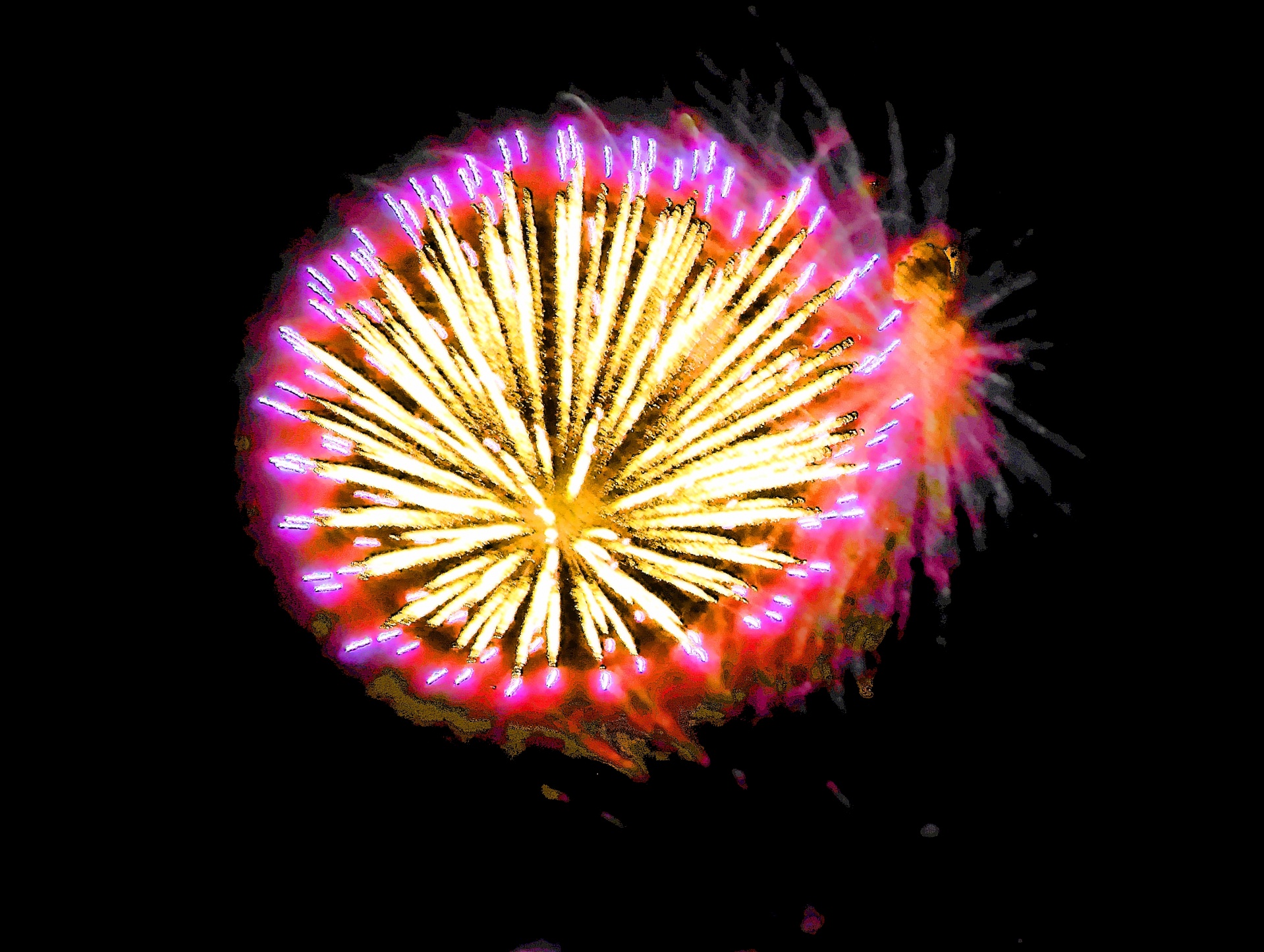 firework fireworks 4th july free photo