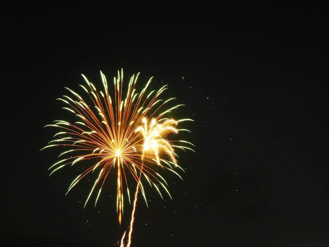 fireworks july 4th independence day free photo