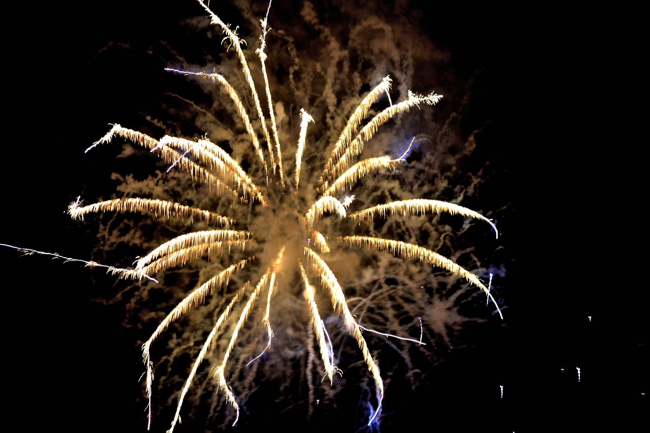 fireworks 4th of july celebration free photo