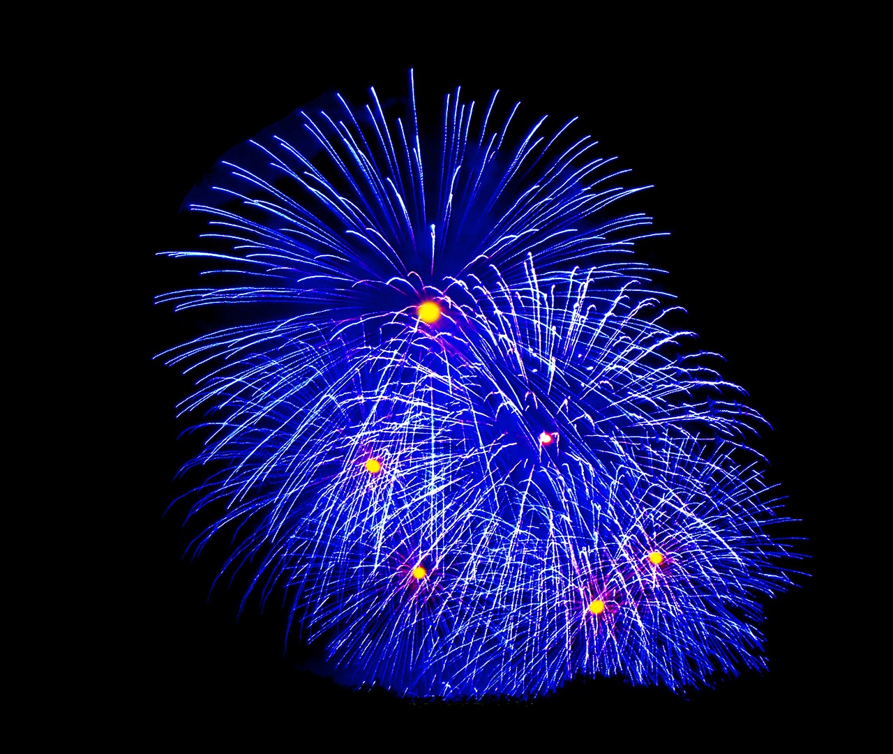 fireworks night family celebration free photo