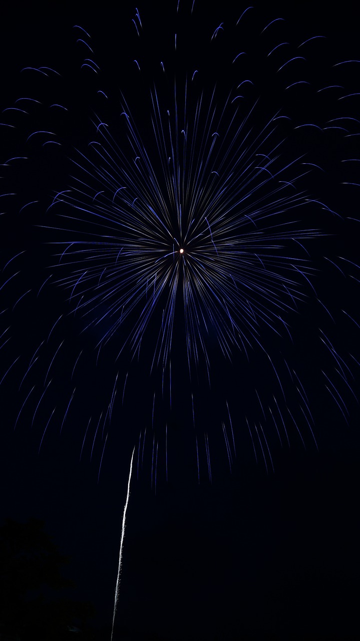 fireworks summer in japan night free photo