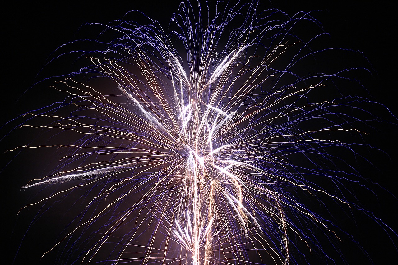 fireworks pyrotechnics fireworks art free photo