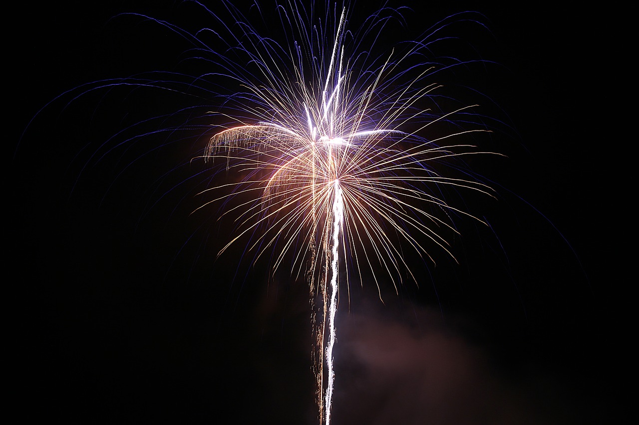 fireworks pyrotechnics fireworks art free photo