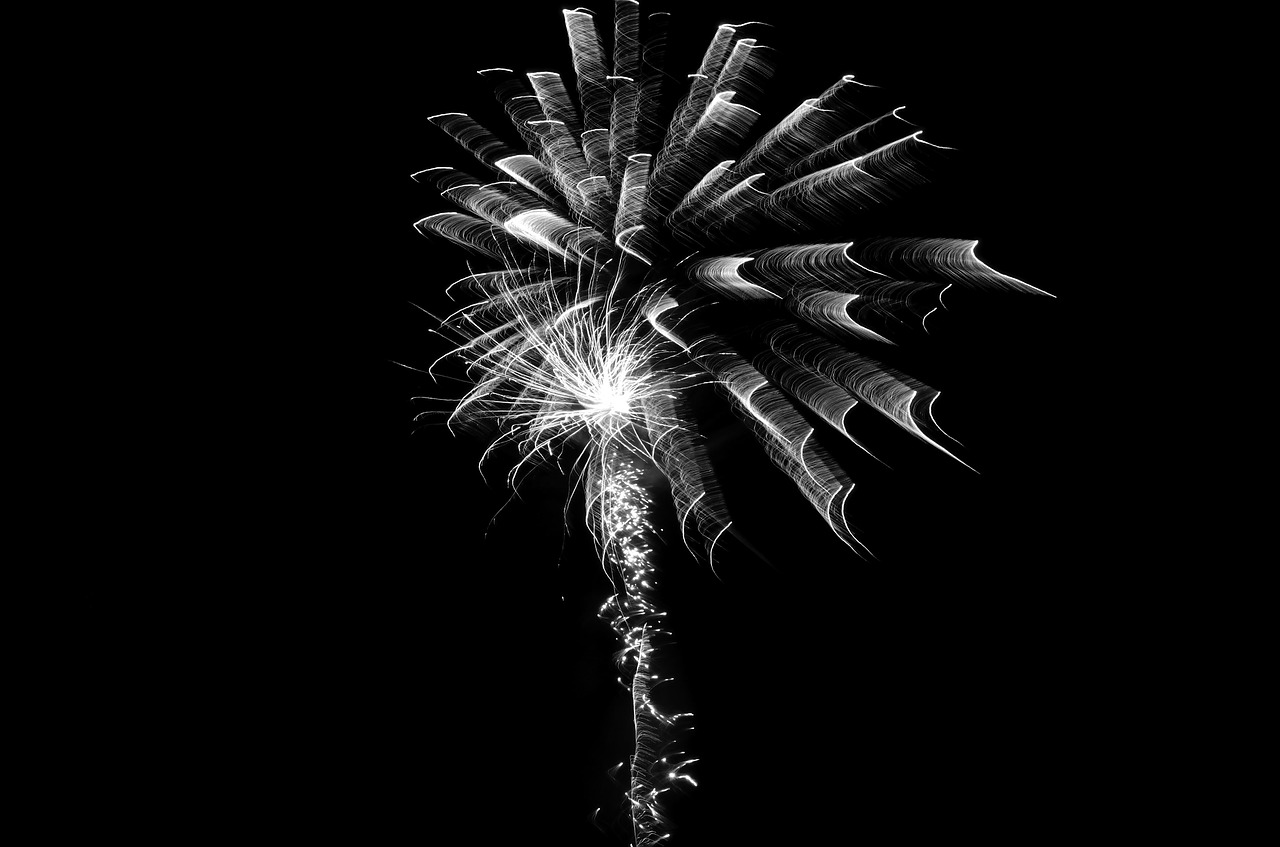 fireworks black and white celebration free photo