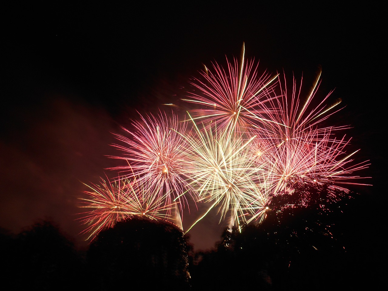 fireworks night sky free photo