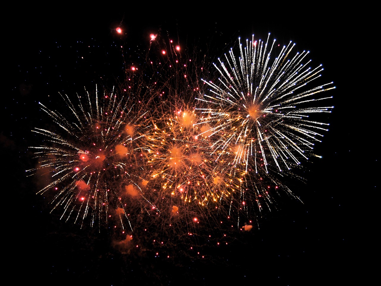 fireworks pyrotechnics explode free photo