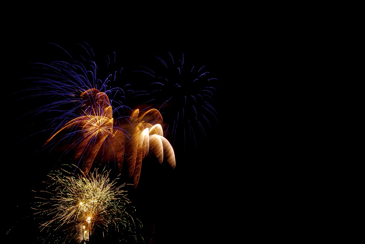 fireworks celebration holiday free photo