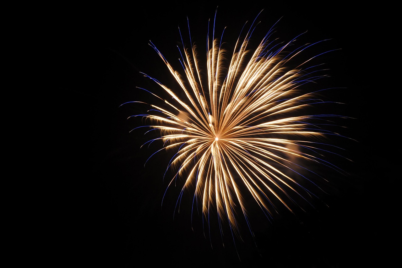 fireworks pyrotechnics new year's eve free photo