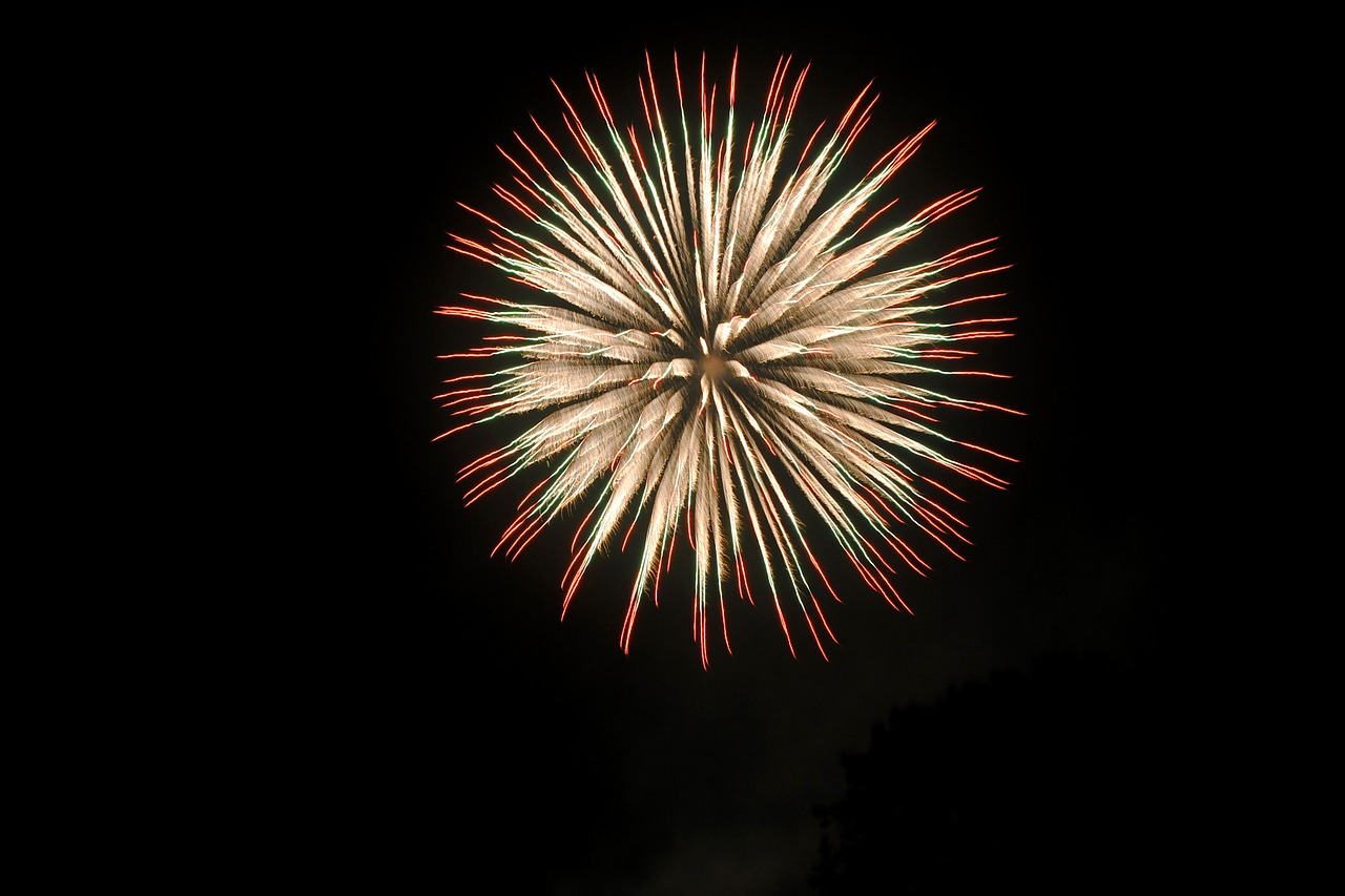 fireworks pyrotechnics new year's eve free photo