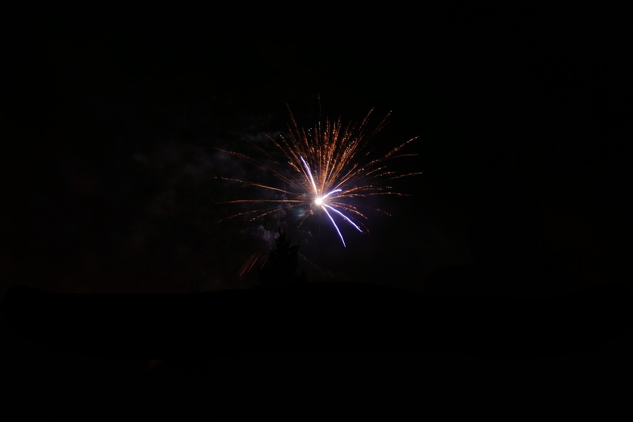 fireworks night new year's eve free photo