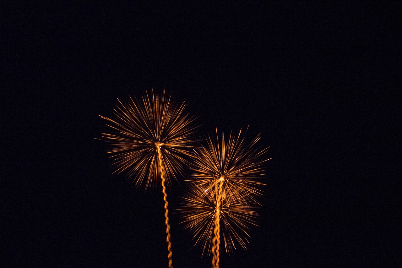 fireworks dark night free photo
