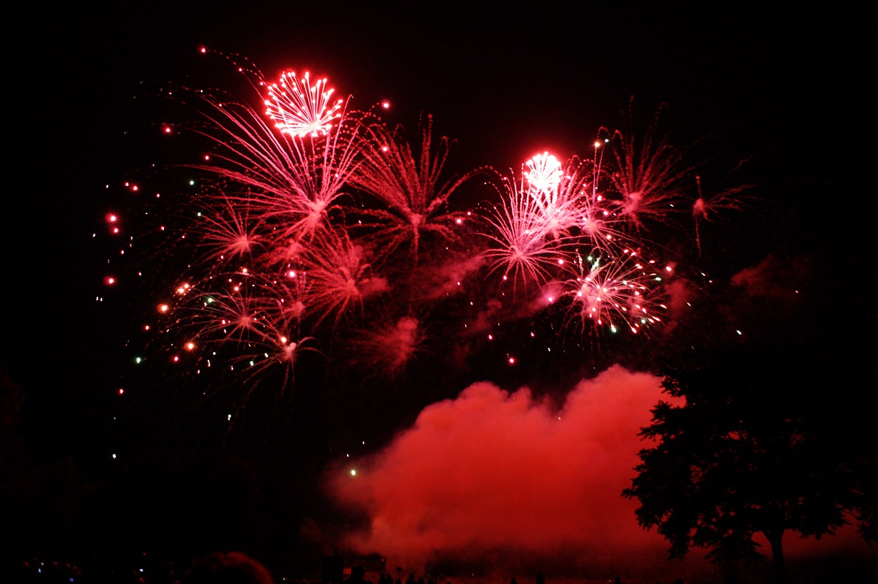 fireworks pyrotechnics night free photo