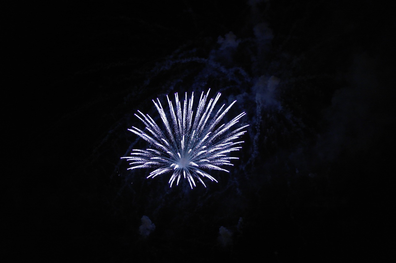 fireworks  firework  blue free photo