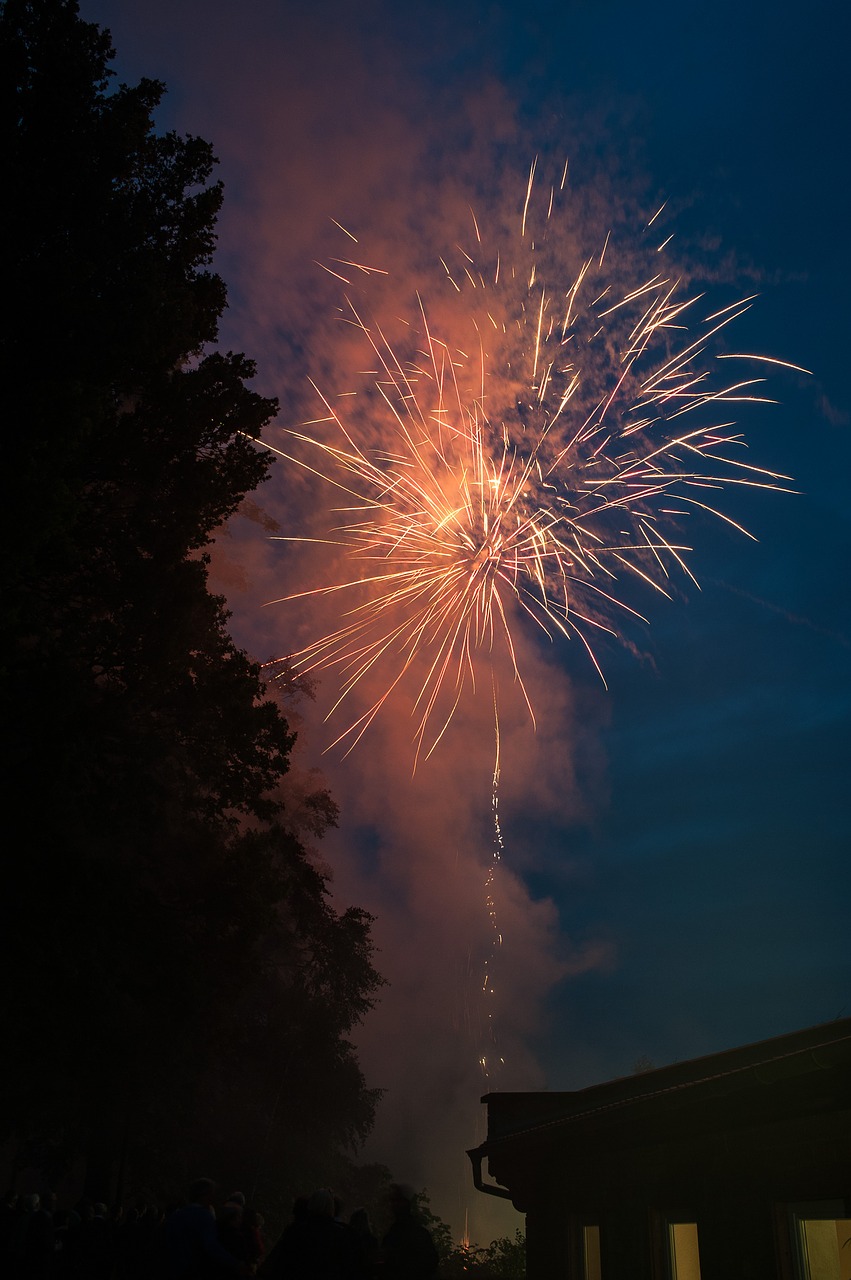 fireworks  at night  pyrotechnics free photo