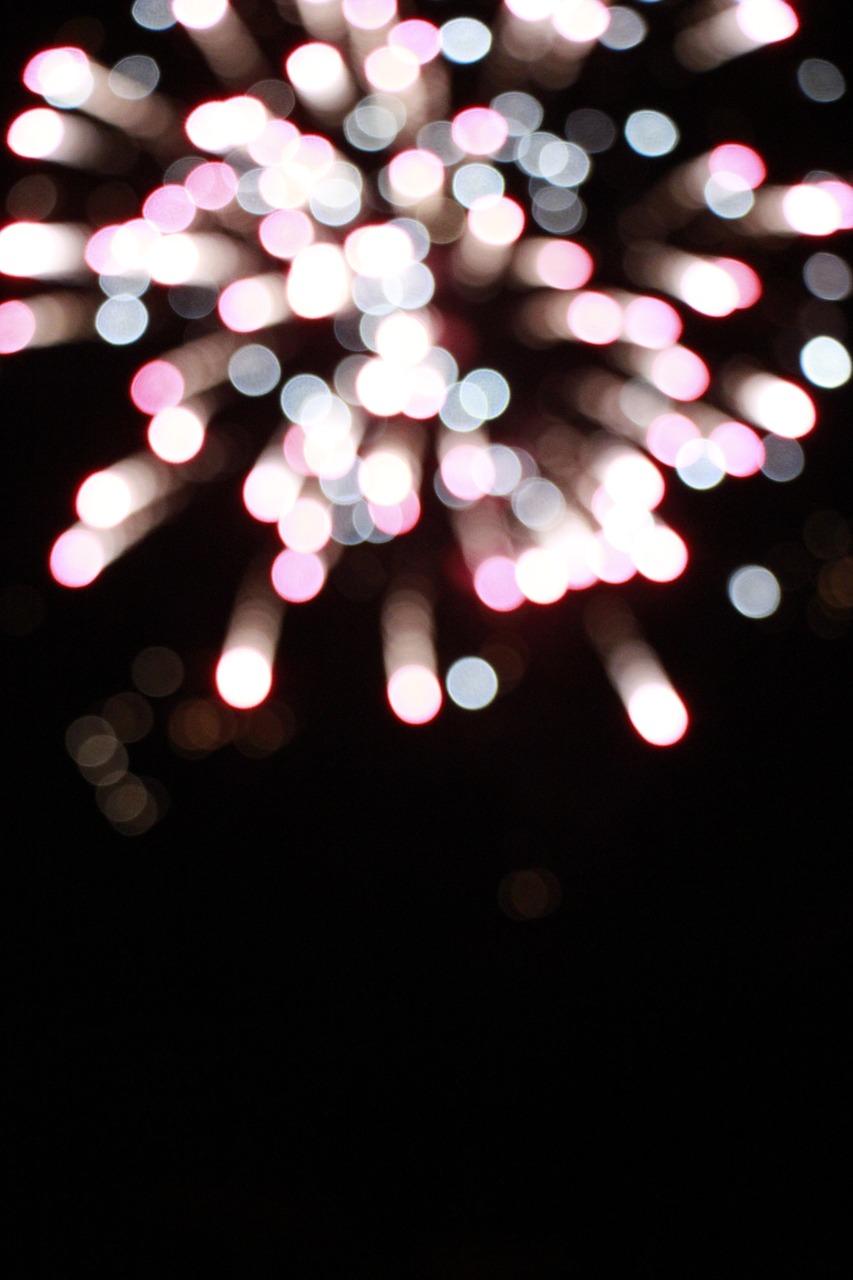 fireworks the dark night shiny free photo