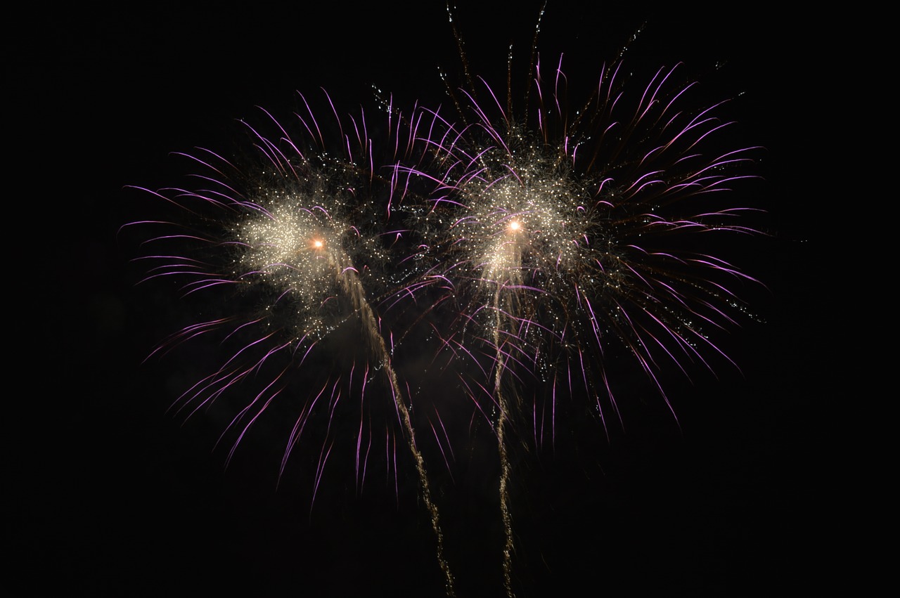 fireworks new year day night free photo