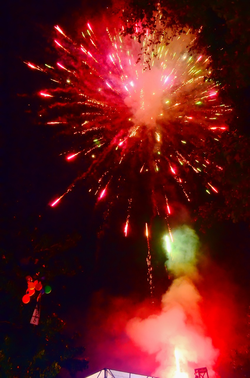 fireworks party hanabi free photo