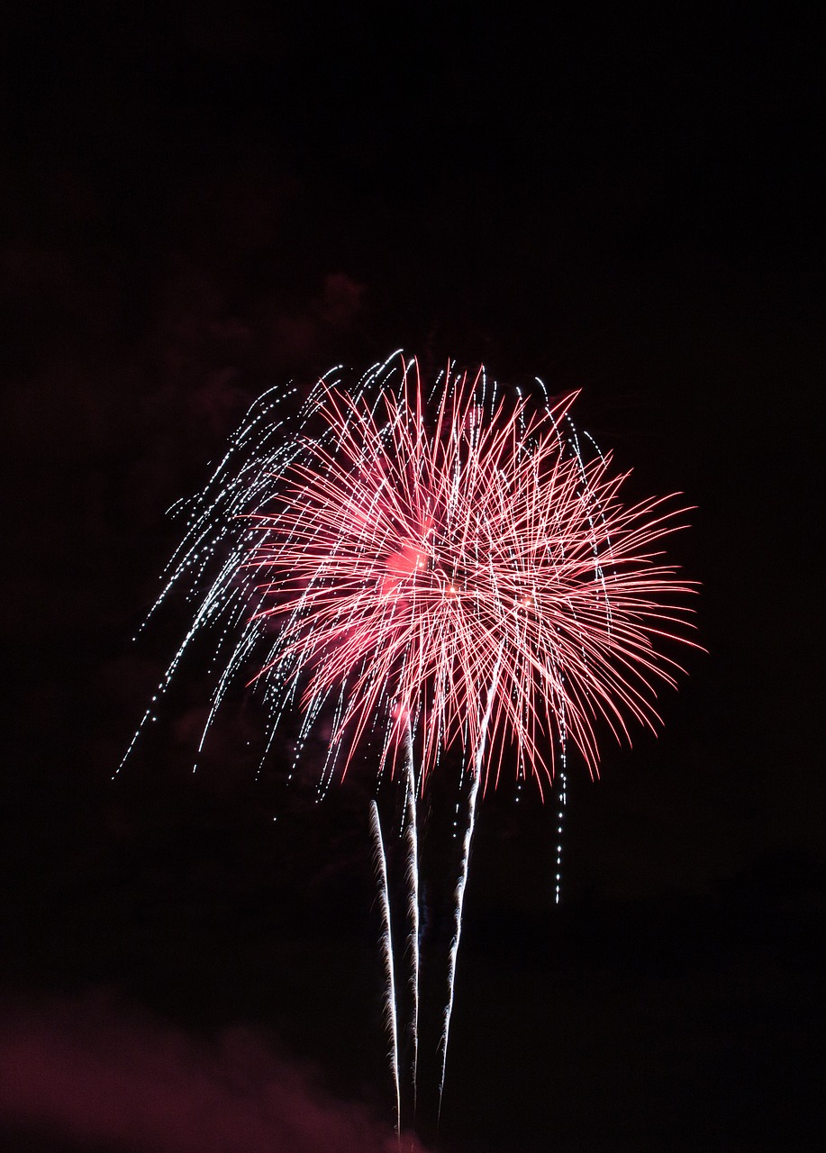 fireworks dreams new year free photo