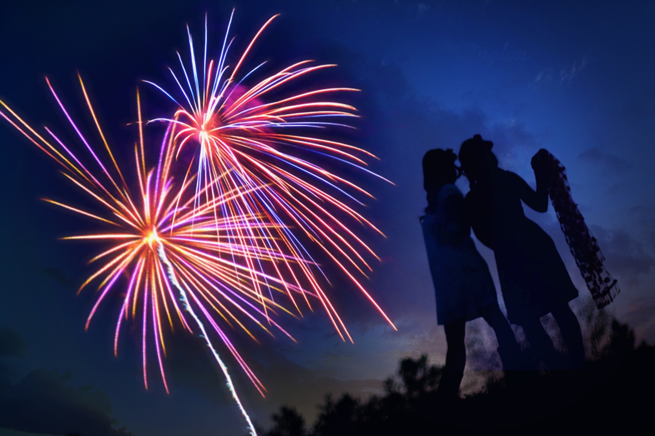 fireworks silhouette night free photo