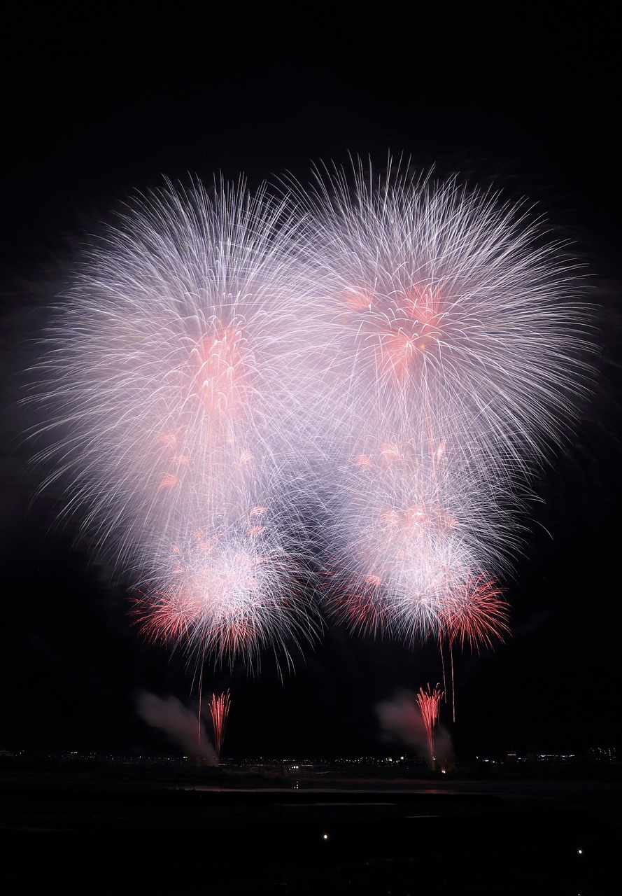 fireworks new year explode free photo