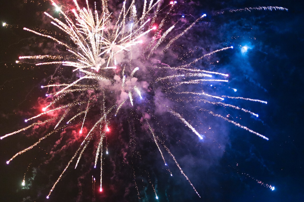 fireworks sparkle sky free photo