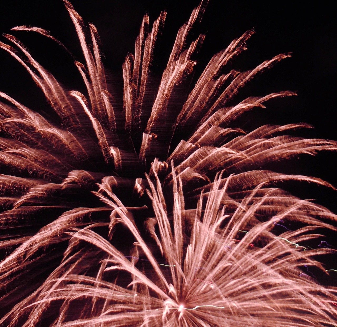 fireworks explosion celebrate free photo