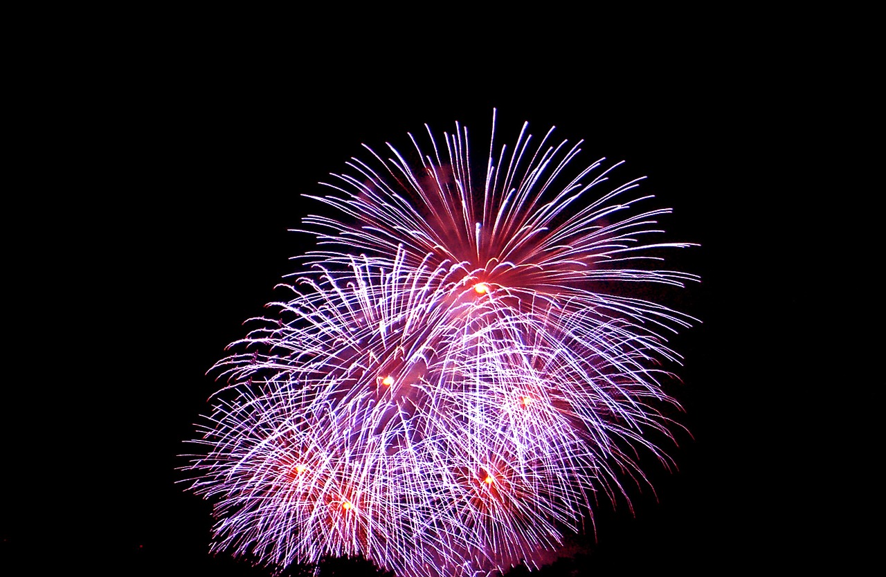 fireworks night ad free photo