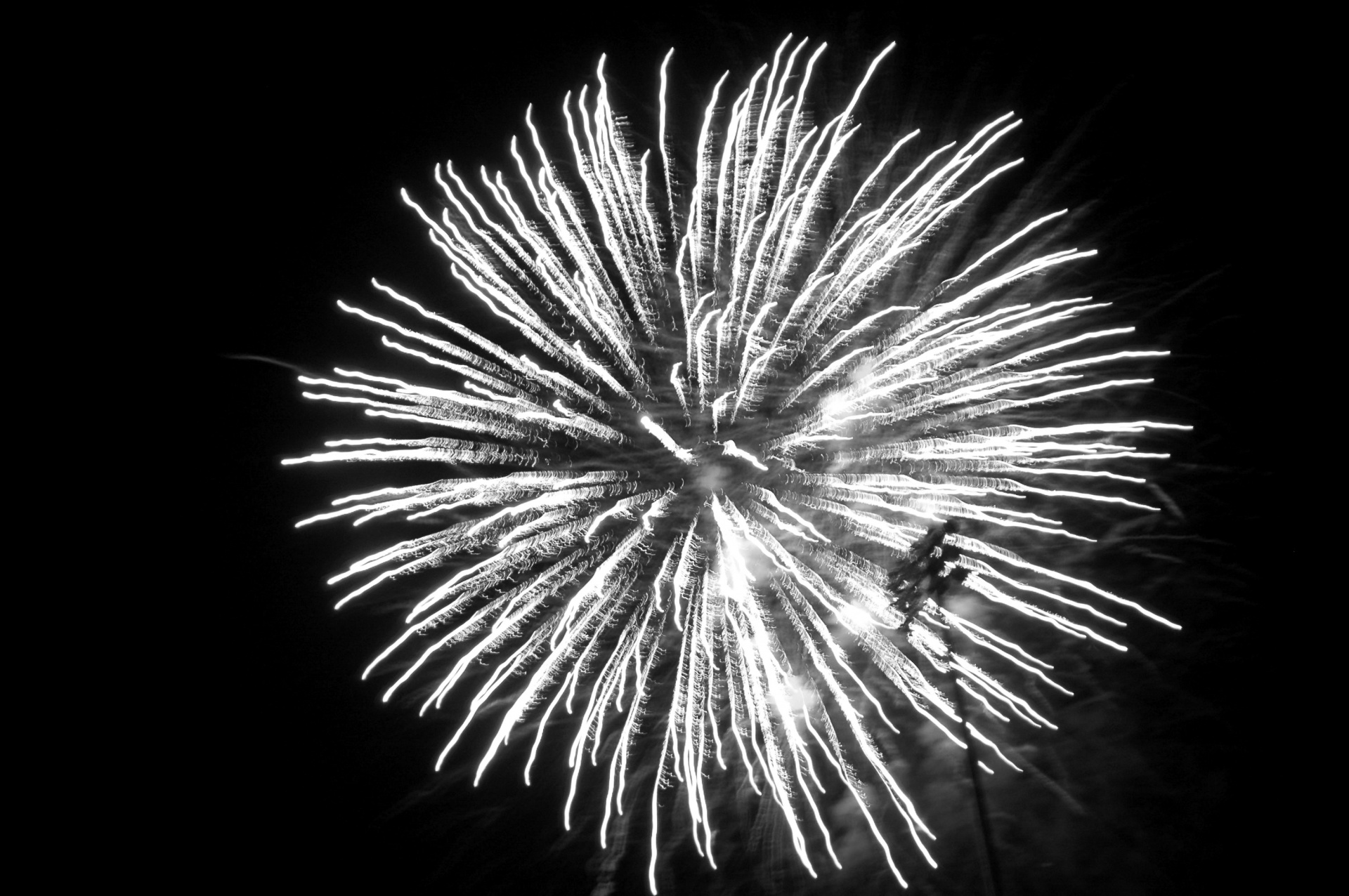 fireworks display holiday free photo