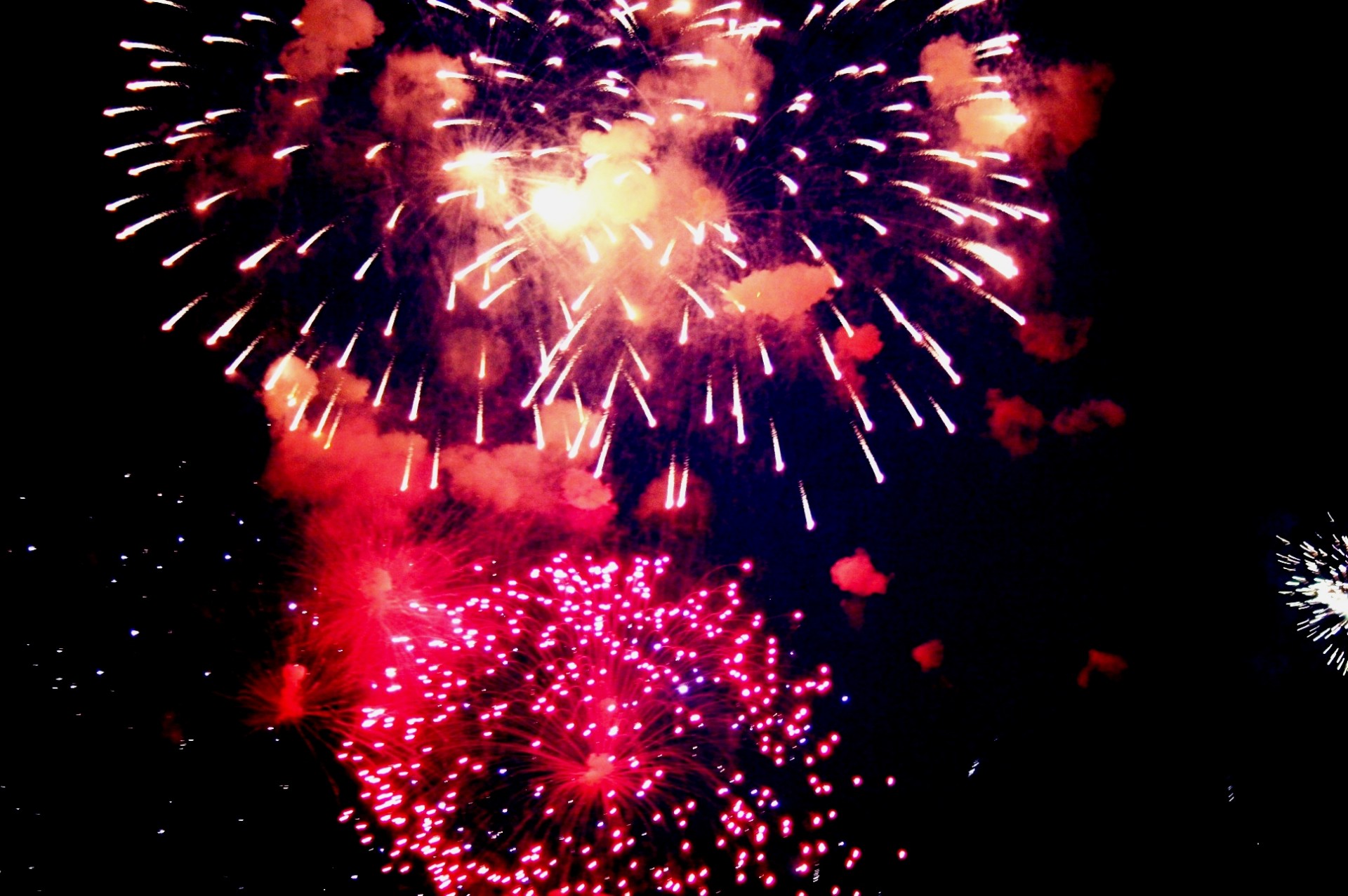 fireworks bright pink red free photo