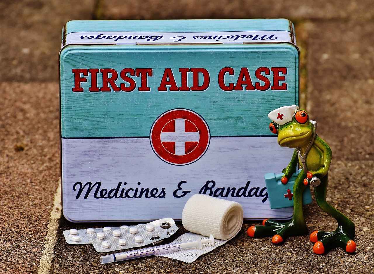 first aid frog medic free photo