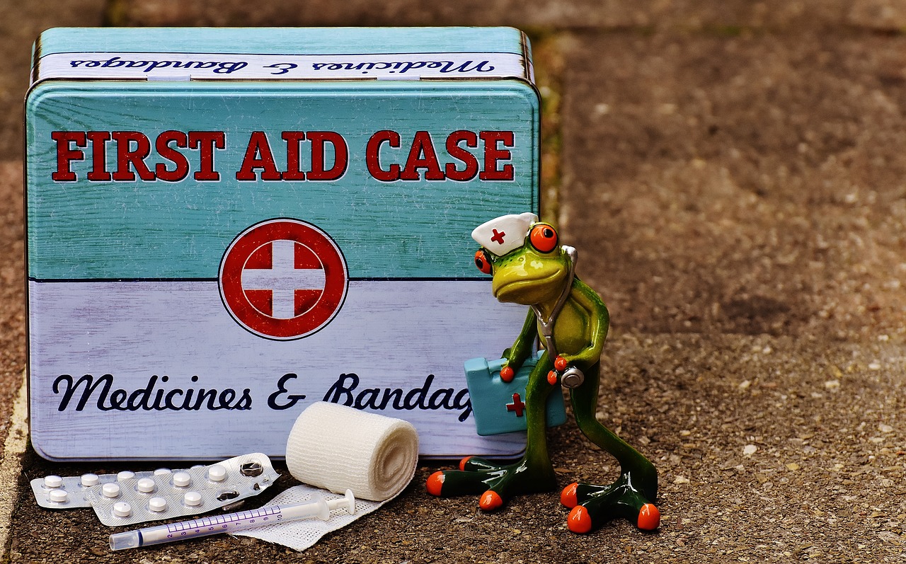 first aid frog medic free photo