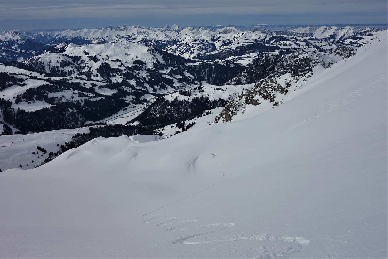 first line  backcountry skiiing  downhill skiing free photo