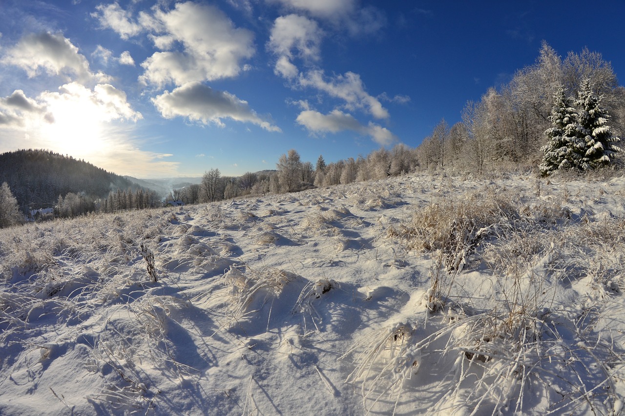 first snow winter in the mountains krynica mountain free photo