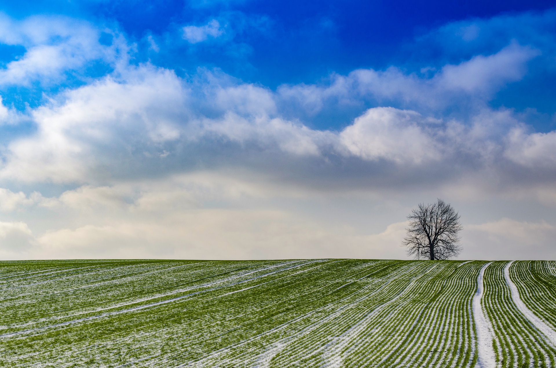 first snow landscape free photo