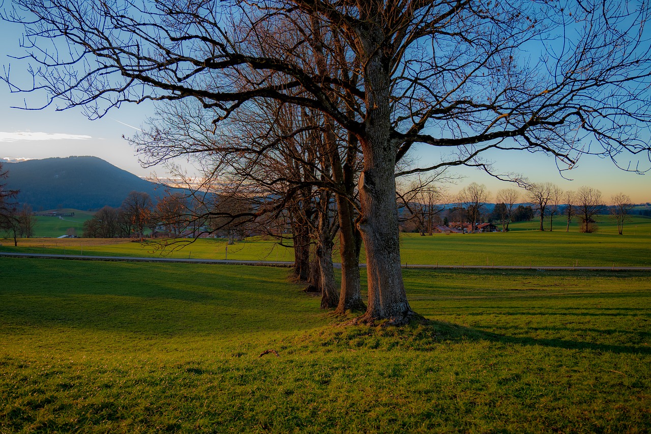 fischbachau  bavaria  land free photo