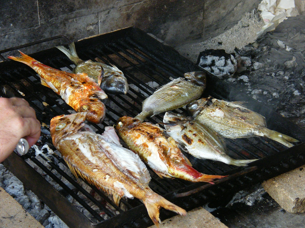 fish barbecue sea free photo