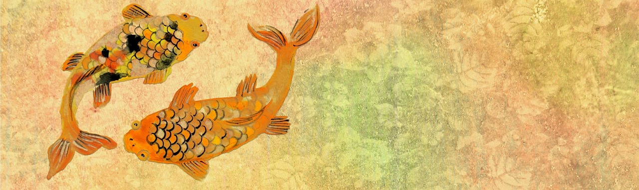 fish koi banner free photo