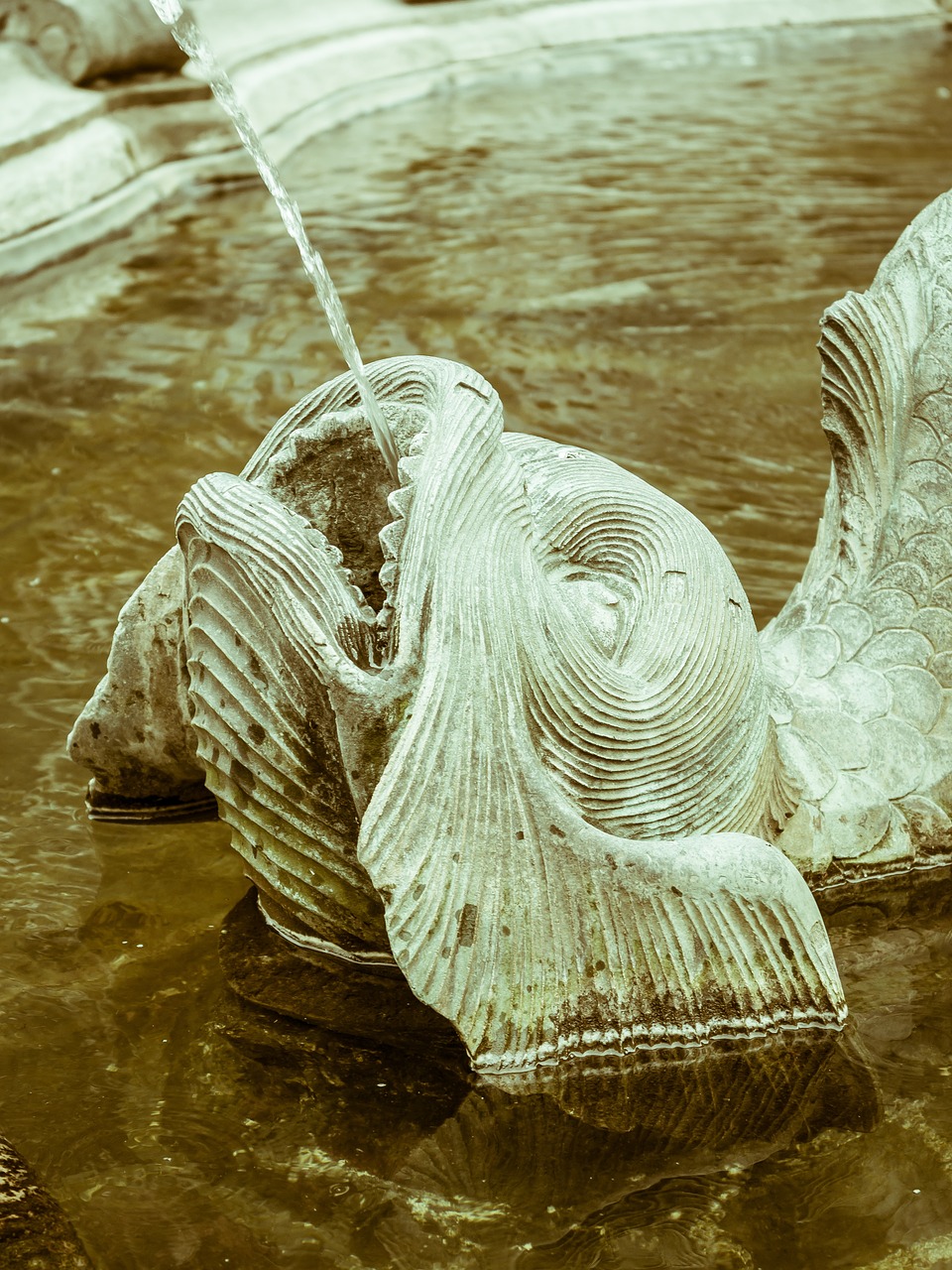 fish fountain gargoyle free photo