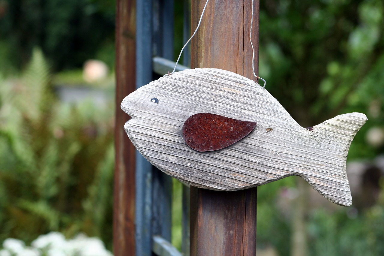 fish deco wood free photo