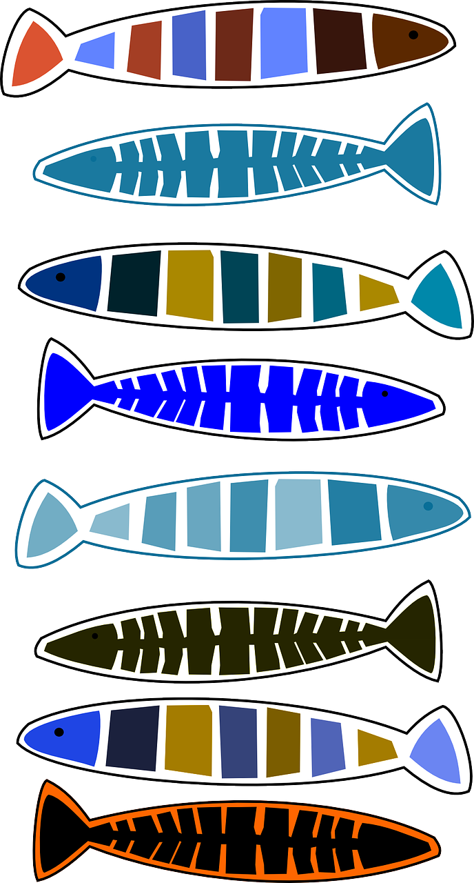 fish animals variations free photo